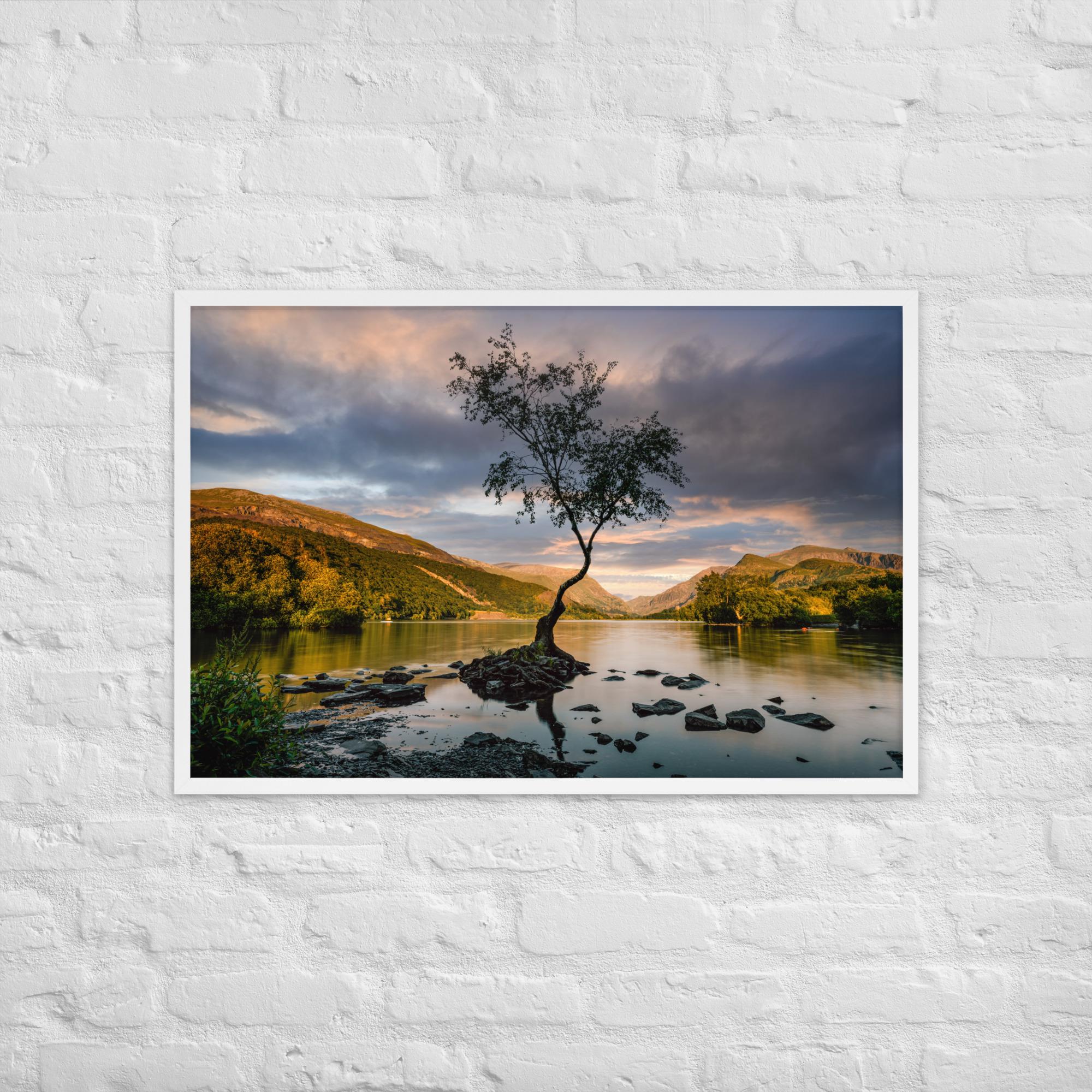 Llanberis Lone Tree Print – Framed Calm Landscape Photography | North Wales Wall Art | Serene Nature Decor | Snowdonia Lake Scene