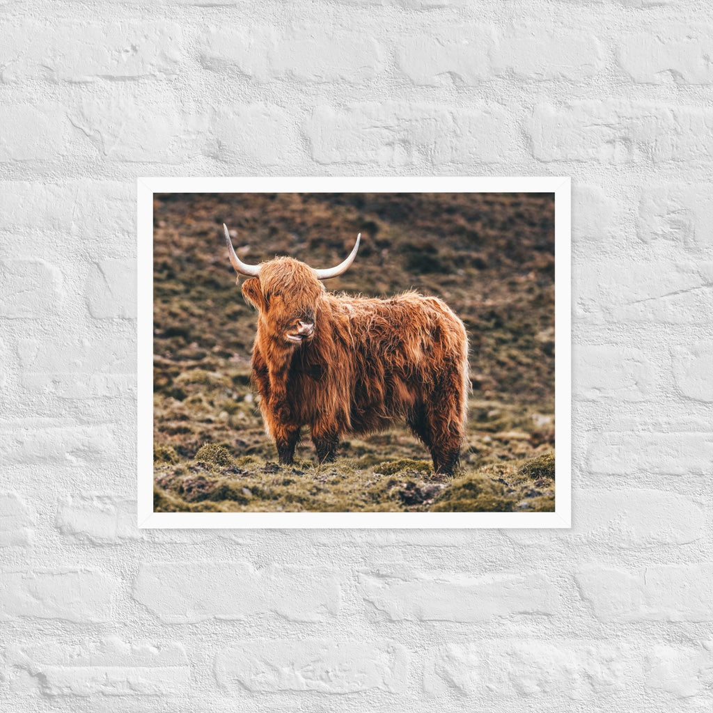 Highland Cow Print – Scottish Highlands Animal Photography | Framed Wall Art | Rustic Farmhouse Decor | Shaggy Cow Photo | Nature Lover Gift