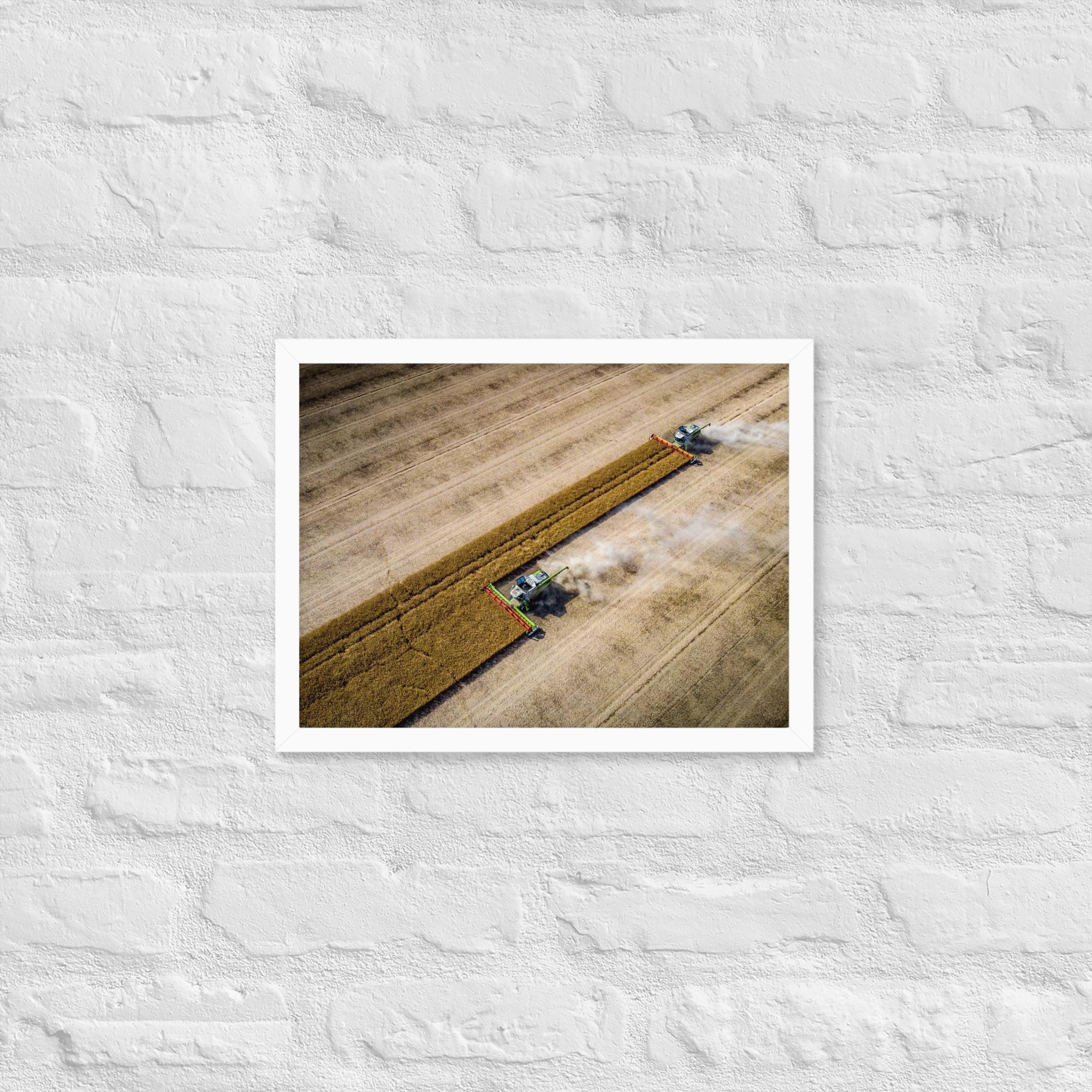 Aerial Harvest Print – Modern Farming Photography Wall Art – Golden Wheat Field Drone Photo – Rustic Countryside Decor