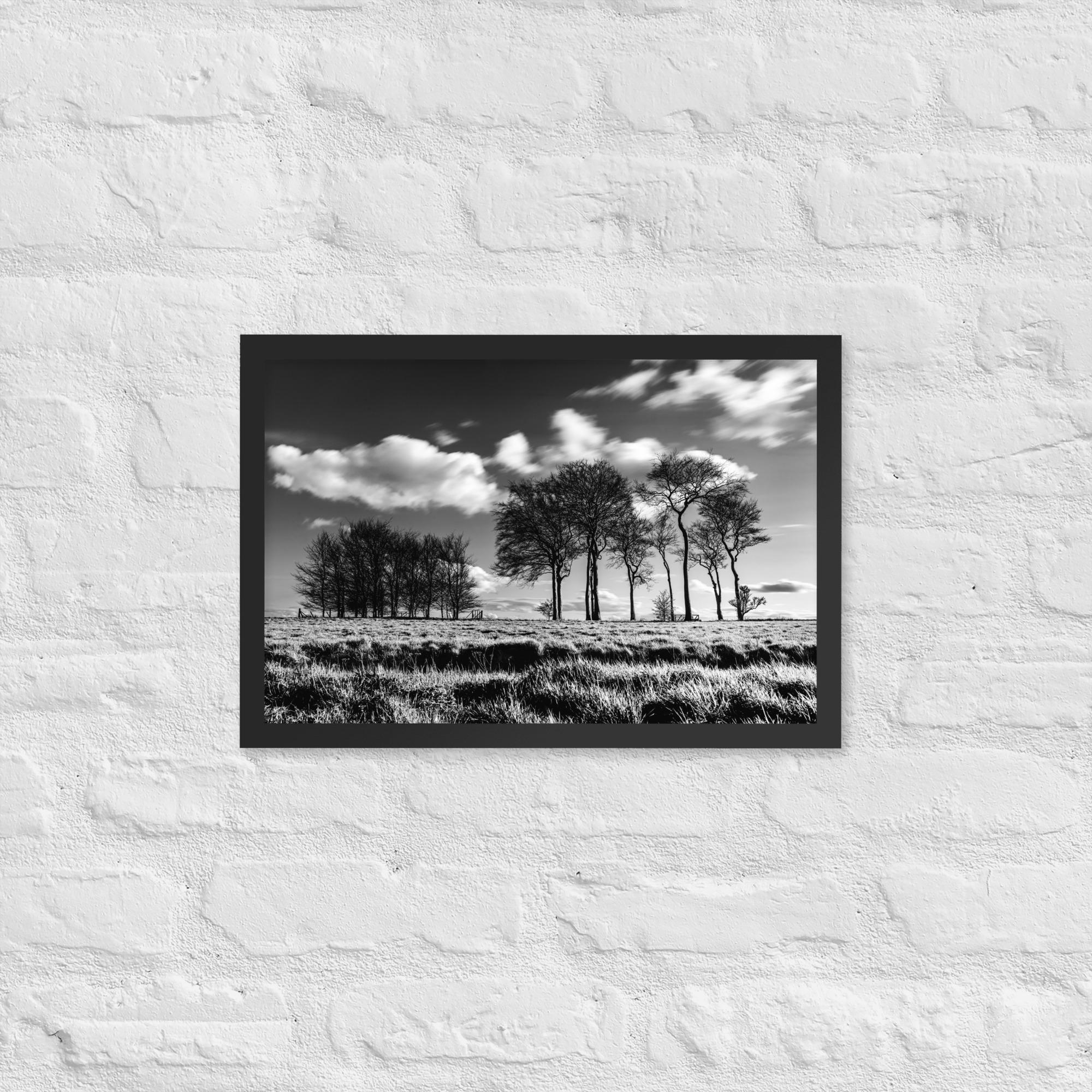 Black White Tree Print – Dramatic Monochrome Forest Wall Art – High Contrast Nature Photo