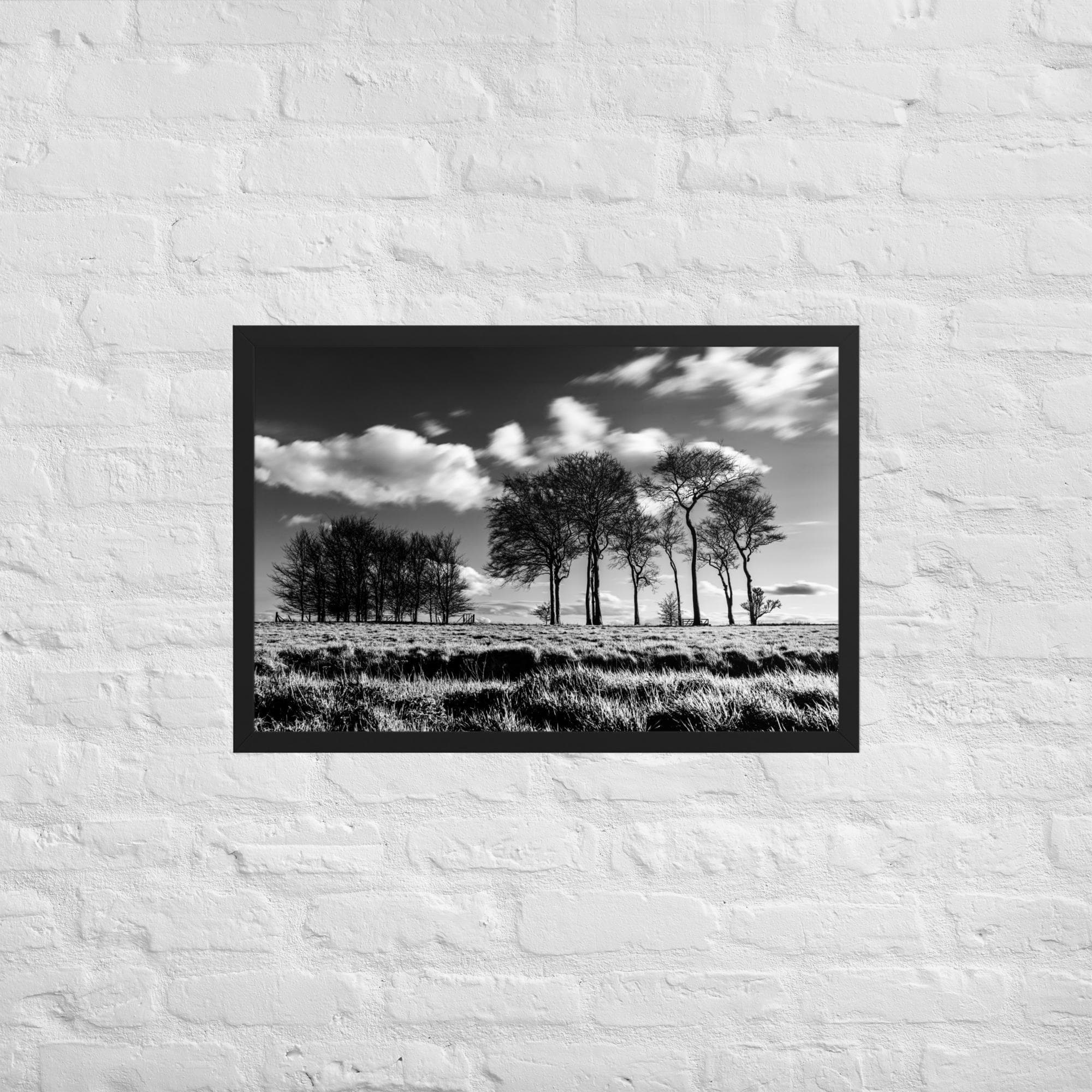 Black White Tree Print – Dramatic Monochrome Forest Wall Art – High Contrast Nature Photo