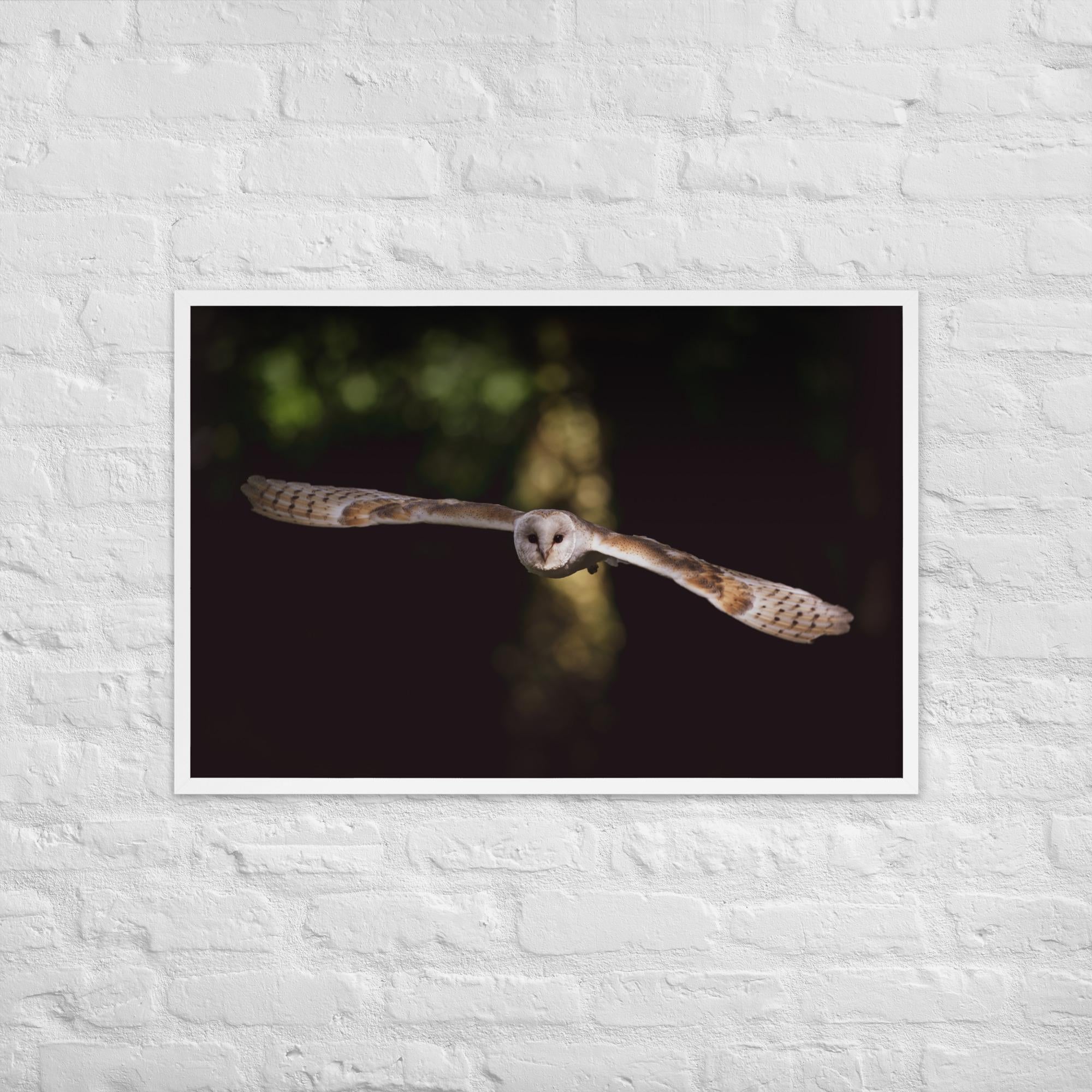 Barn Owl Wall Art – Majestic Owl in Flight Photo Print – Wildlife Nature Photography Decor