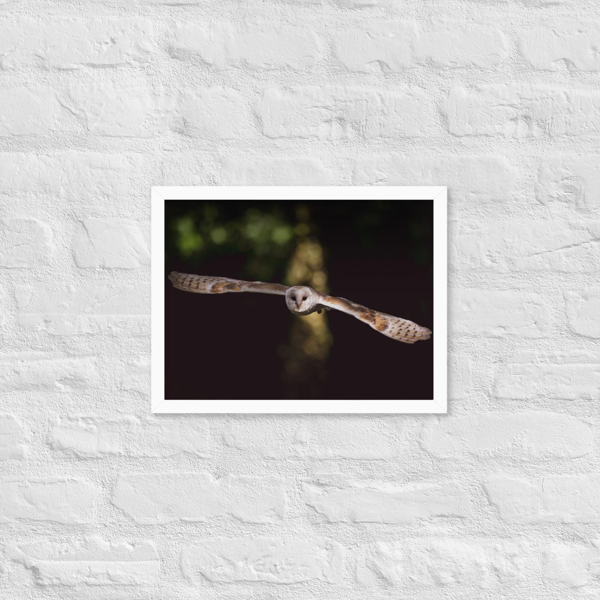 Barn Owl Wall Art – Majestic Owl in Flight Photo Print – Wildlife Nature Photography Decor
