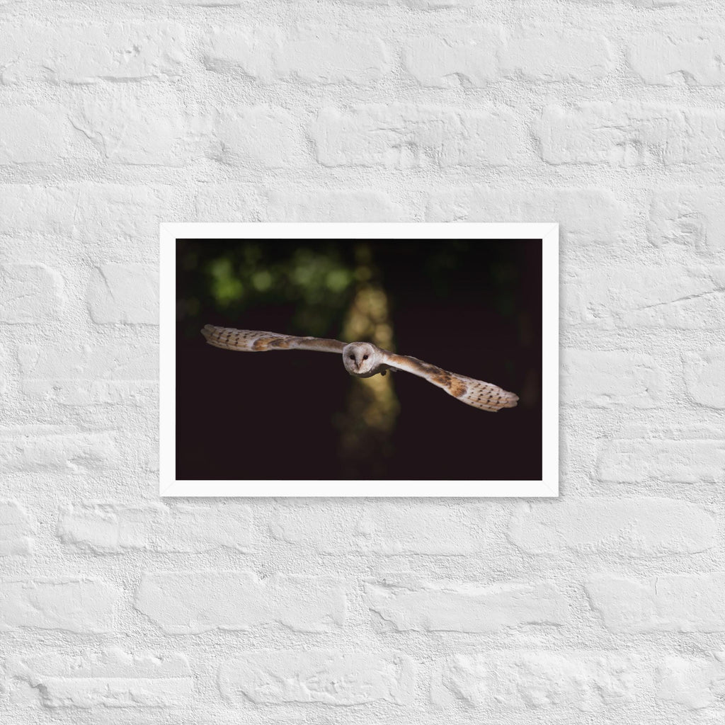 Barn Owl Wall Art – Majestic Owl in Flight Photo Print – Wildlife Nature Photography Decor