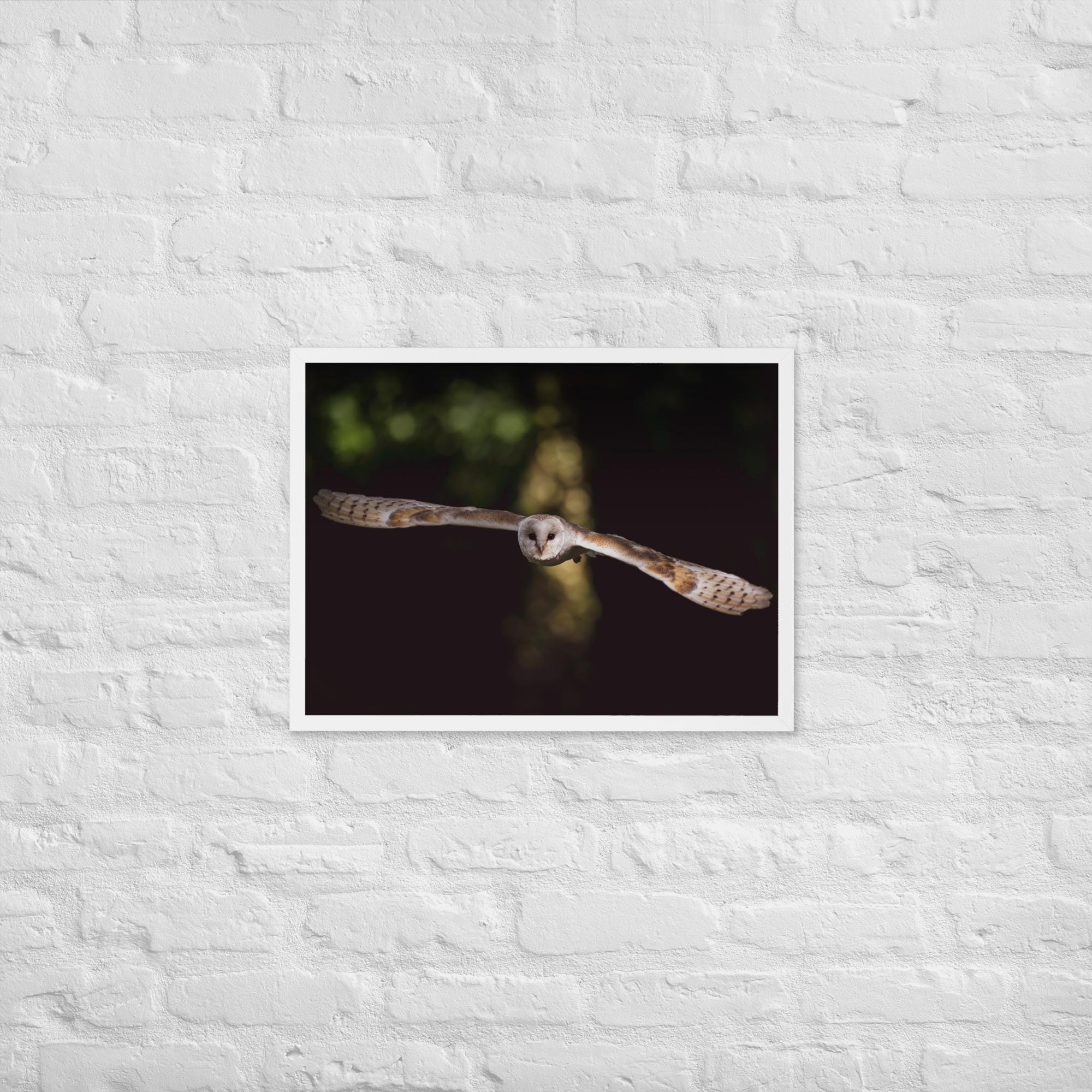Barn Owl Wall Art – Majestic Owl in Flight Photo Print – Wildlife Nature Photography Decor