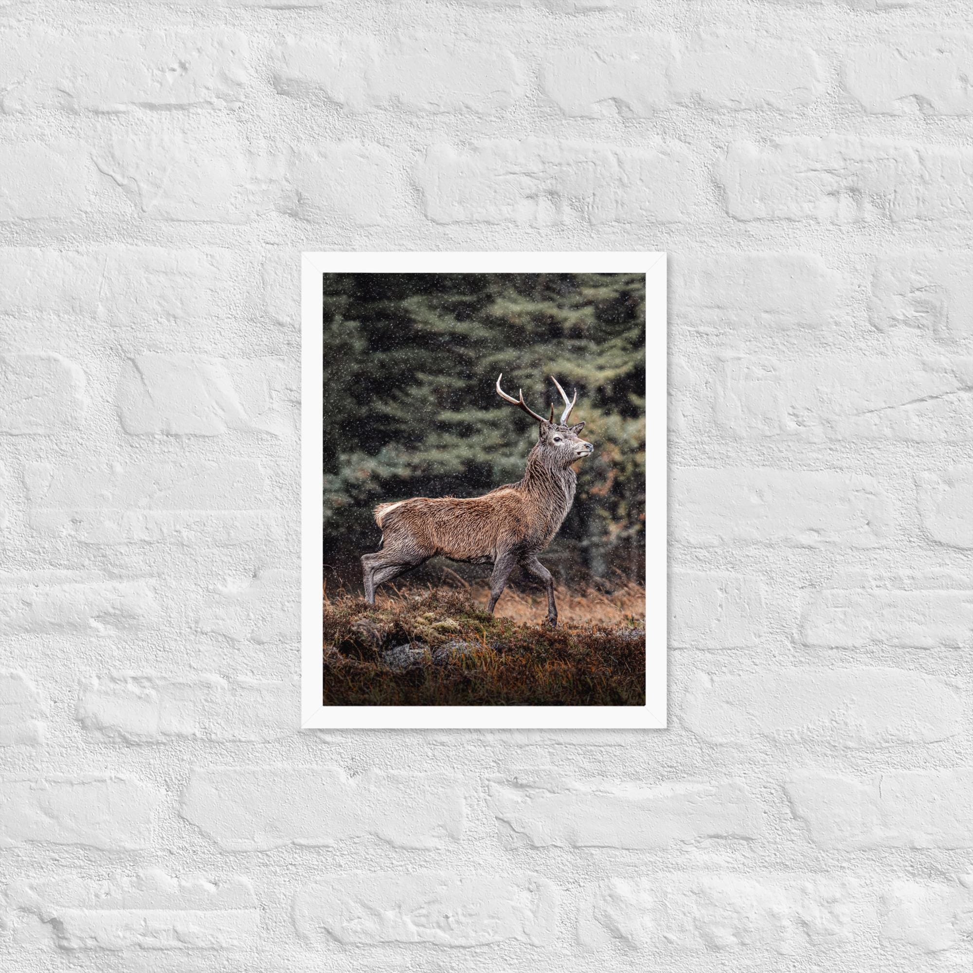 Highland Stag Print – Glencoe Wildlife Wall Art – Muted Tones Nature Photography