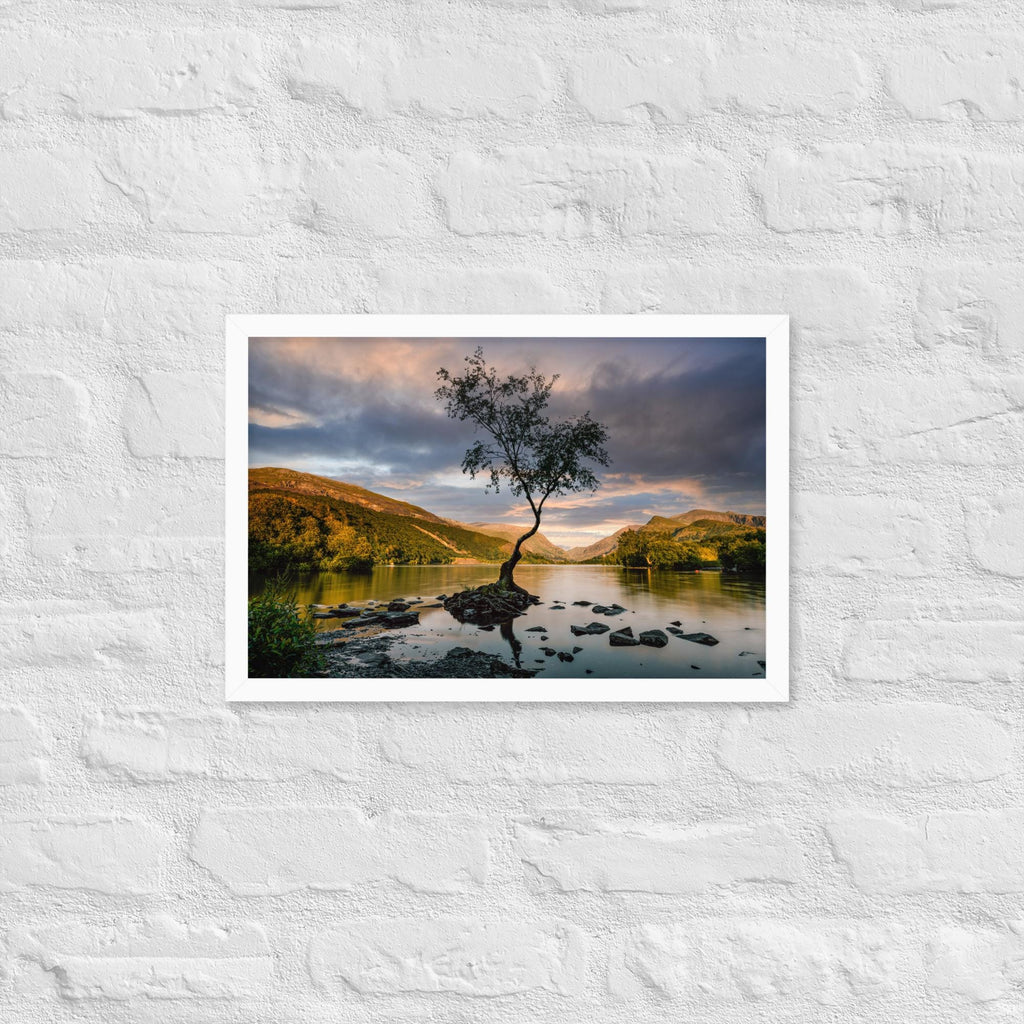Llanberis Lone Tree Print – Framed Calm Landscape Photography | North Wales Wall Art | Serene Nature Decor | Snowdonia Lake Scene