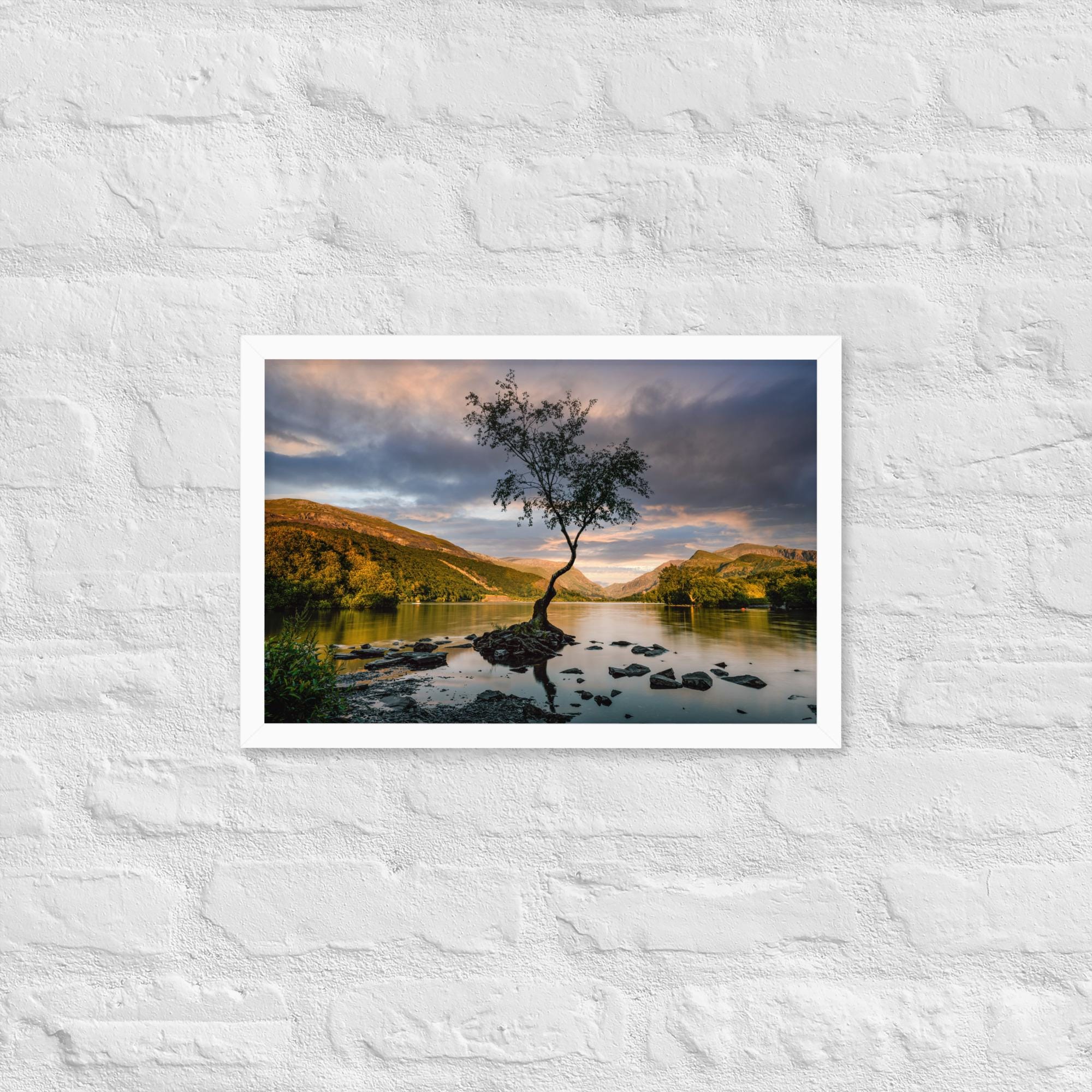 Llanberis Lone Tree Print – Framed Calm Landscape Photography | North Wales Wall Art | Serene Nature Decor | Snowdonia Lake Scene