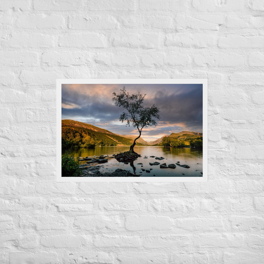 Llanberis Lone Tree Print – Framed Calm Landscape Photography | North Wales Wall Art | Serene Nature Decor | Snowdonia Lake Scene