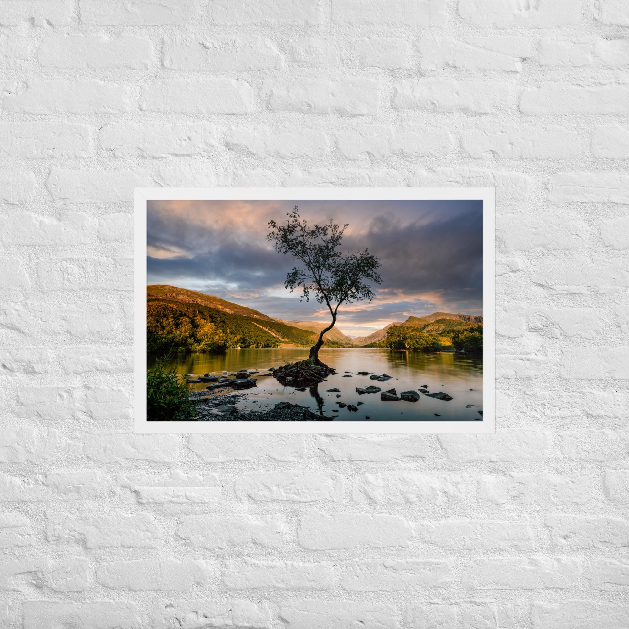 Llanberis Lone Tree Print – Framed Calm Landscape Photography | North Wales Wall Art | Serene Nature Decor | Snowdonia Lake Scene