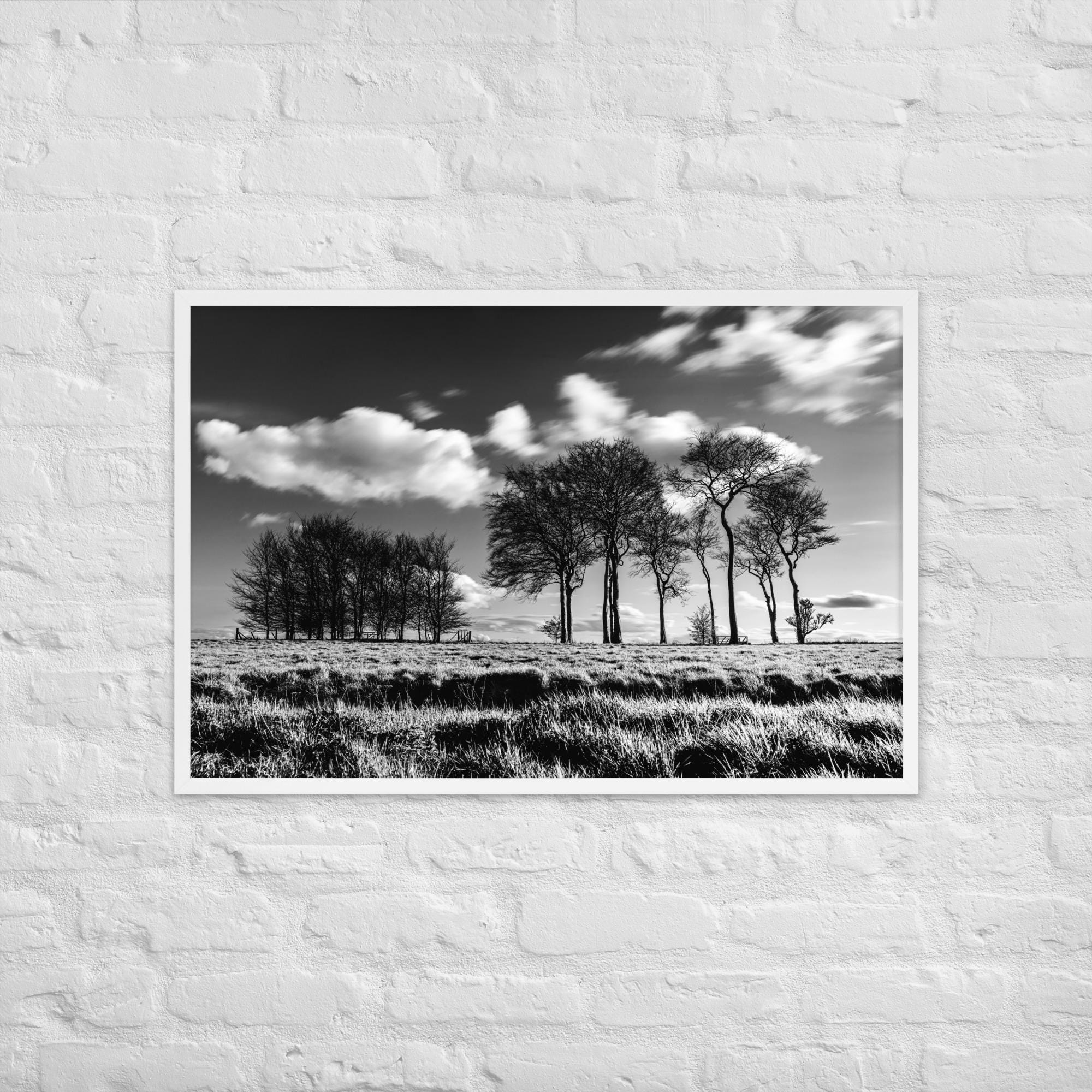Black White Tree Print – Dramatic Monochrome Forest Wall Art – High Contrast Nature Photo
