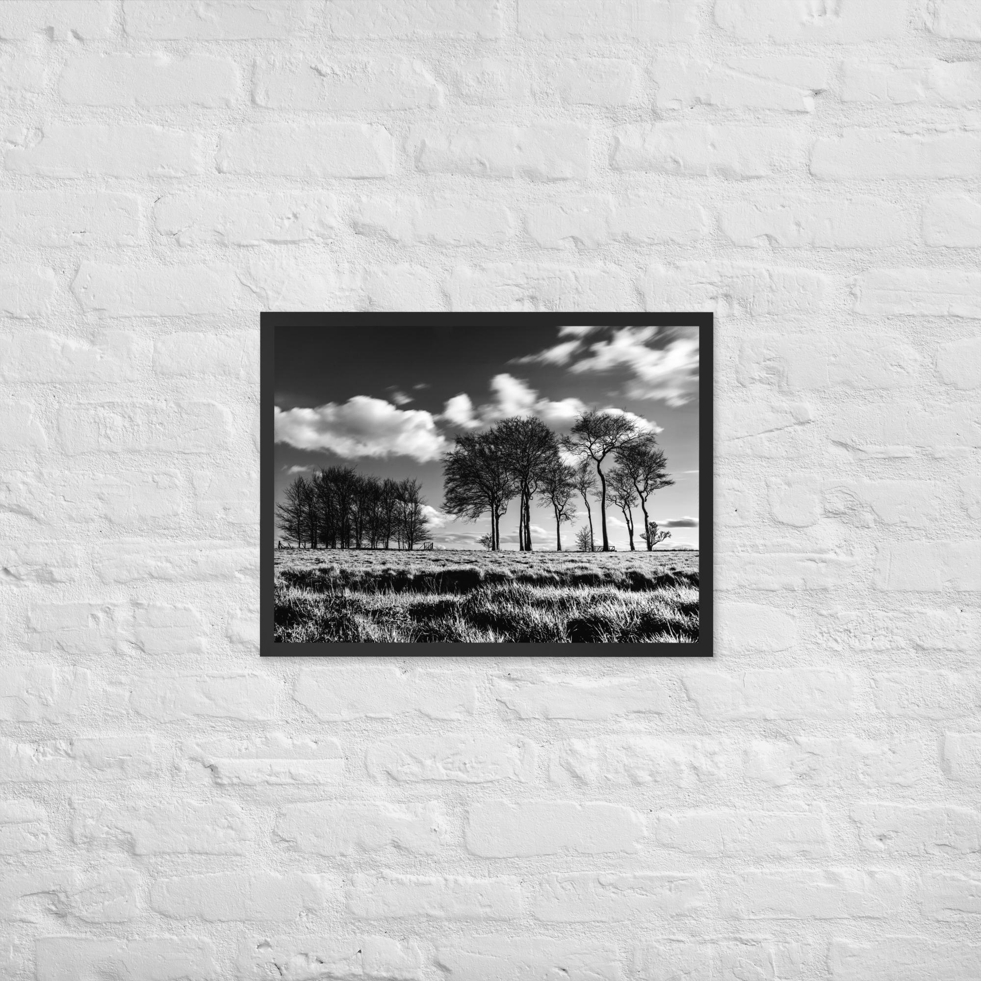 Black White Tree Print – Dramatic Monochrome Forest Wall Art – High Contrast Nature Photo