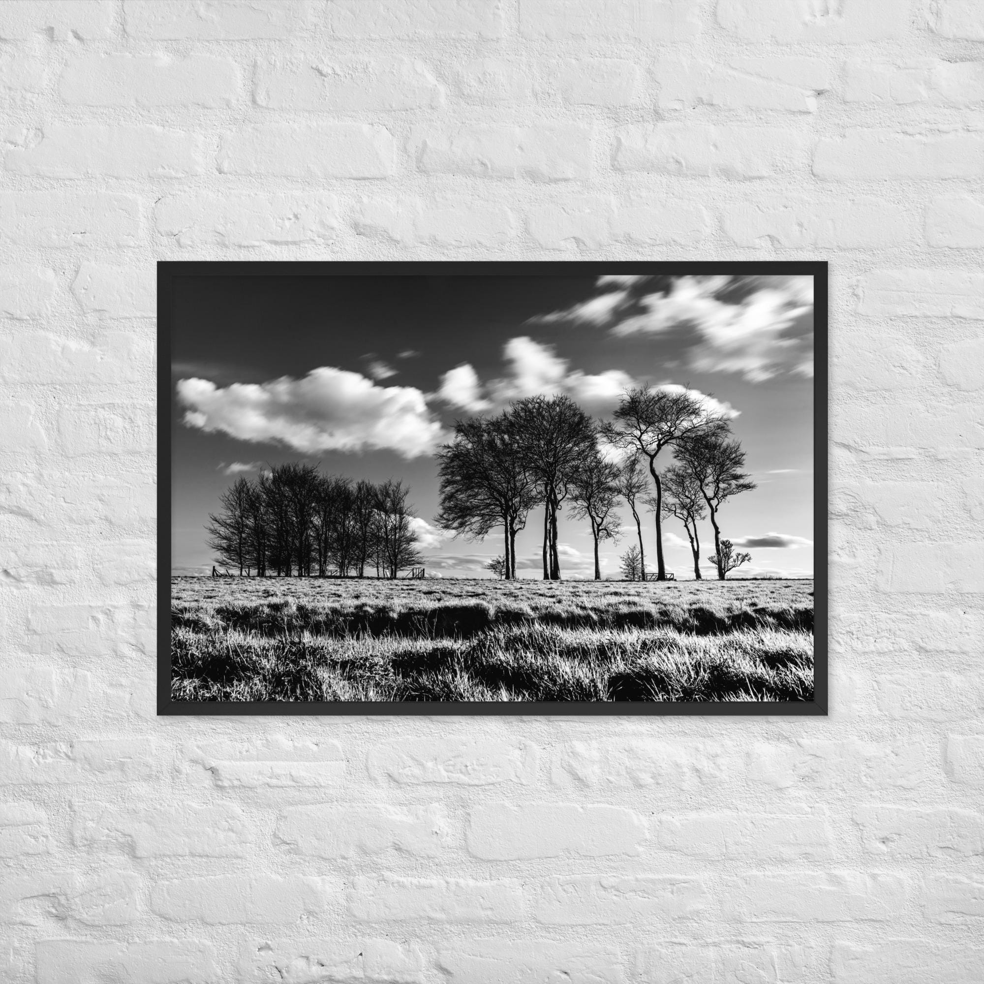 Black White Tree Print – Dramatic Monochrome Forest Wall Art – High Contrast Nature Photo