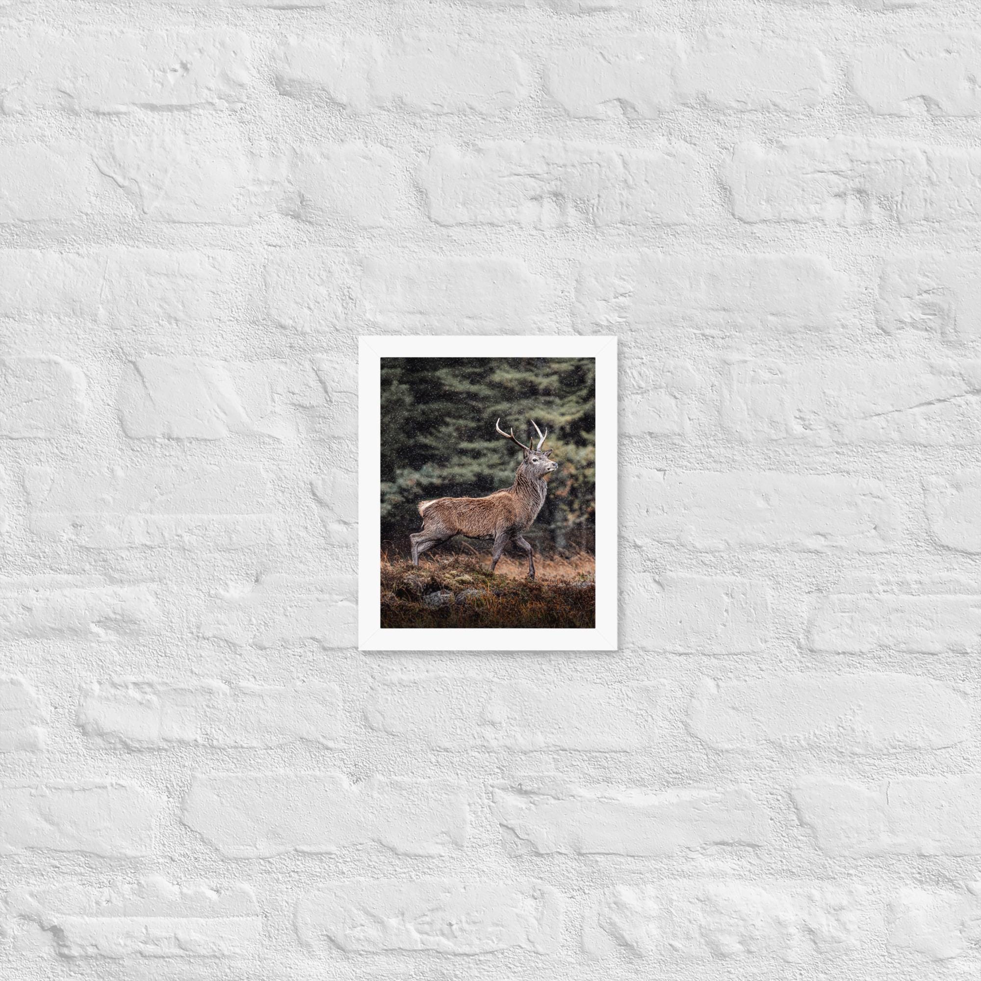 Highland Stag Print – Glencoe Wildlife Wall Art – Muted Tones Nature Photography