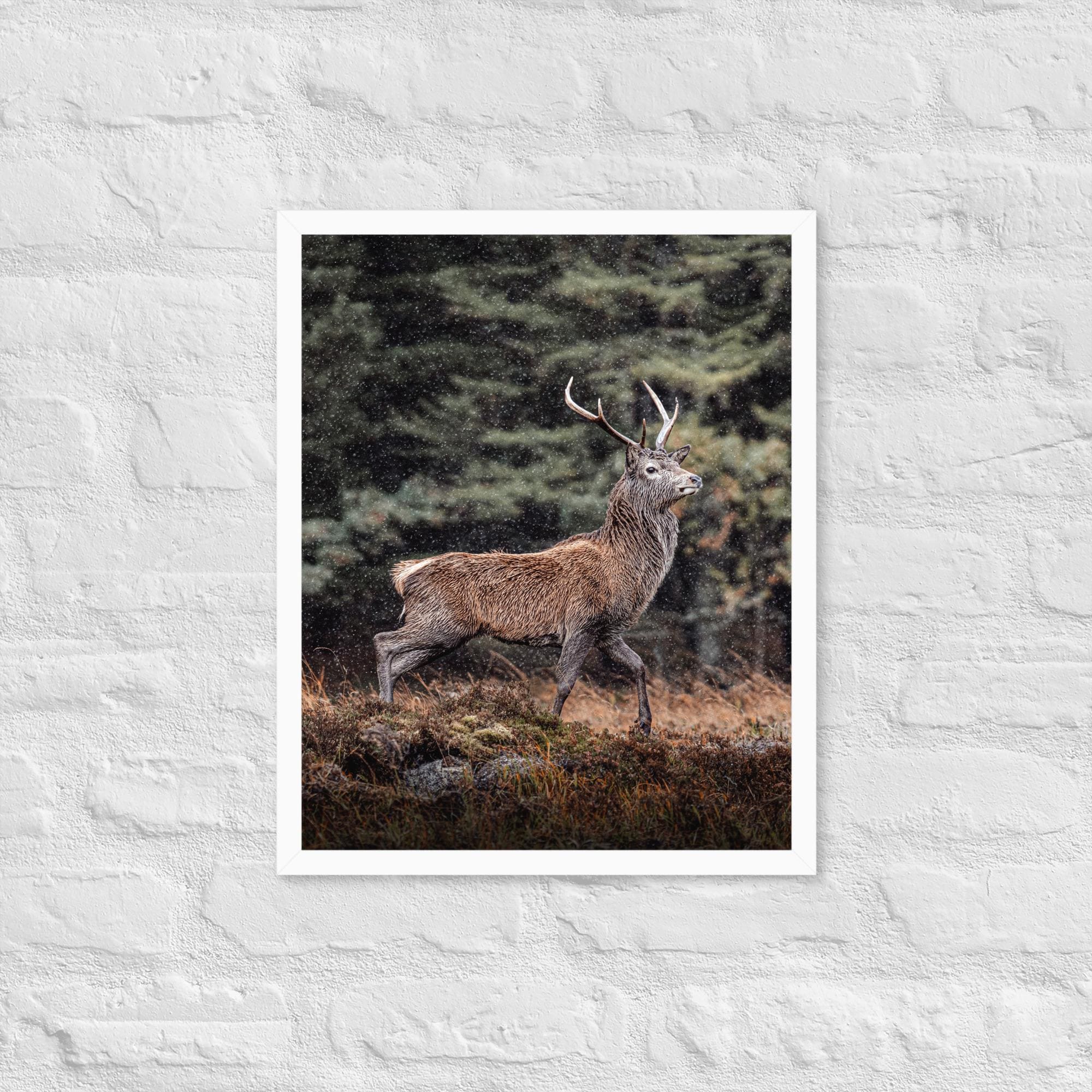 Highland Stag Print – Glencoe Wildlife Wall Art – Muted Tones Nature Photography